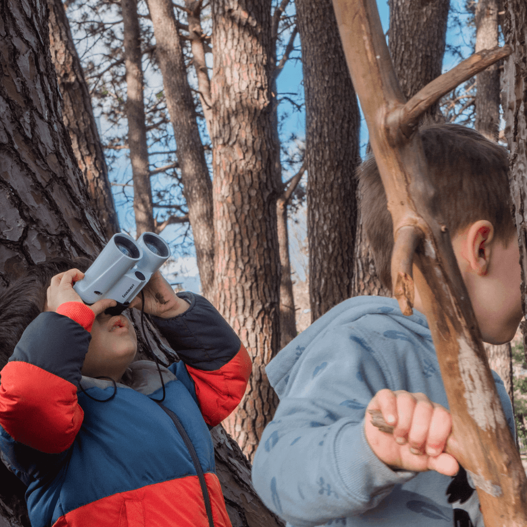 Sydney Nature Kindy August playgroups