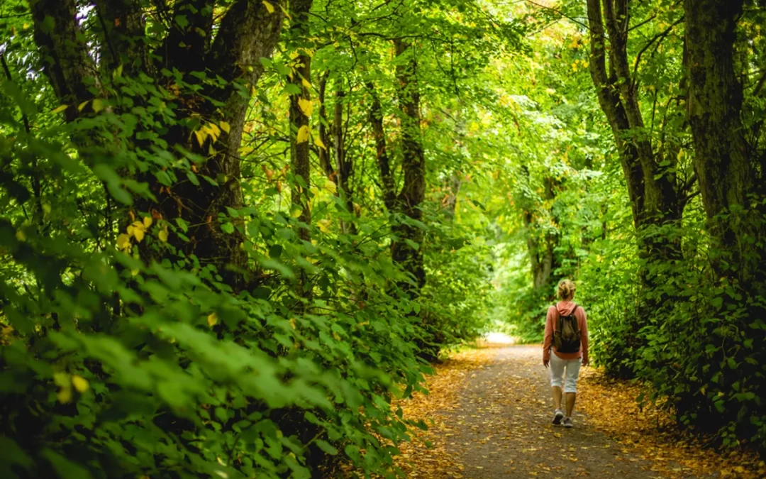 Spending Just One Hour In Nature Could Reduce Stress In The Brain